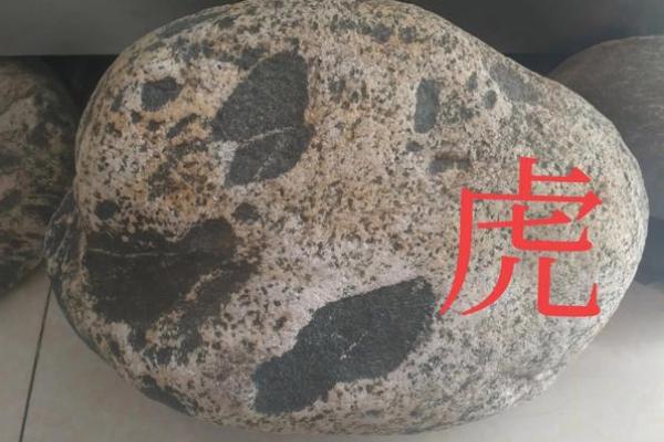 “劈天盖地”打一正确的生肖,劈天盖地打一动物答案解释释义落实 “劈天盖地”打一正确的生肖,劈天盖地打一动物答案解释释义落实