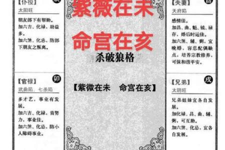 2025年4月20日寅时女命紫微斗数全解盘