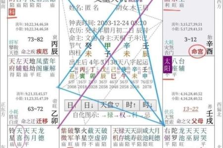 2025年4月21日酉时男命紫微斗数全解盘