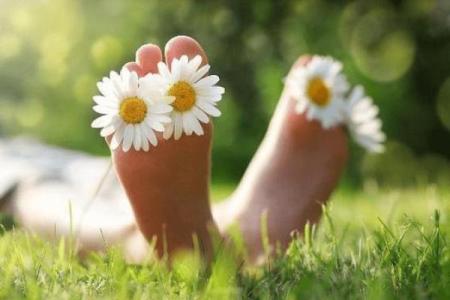 躲在角落不见人指什么生肖