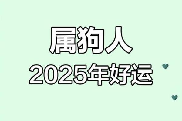 2025年属狗人的财运 2025年属狗人财运大揭秘财富运势全面解析