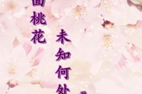 “人面桃花”打一生肖是什么，人面桃花什么生肖答案解释释义落实