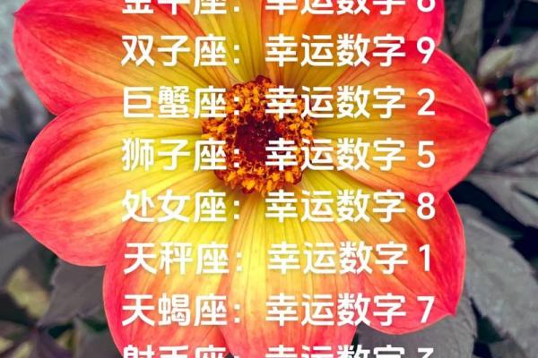 白羊座的幸运颜色和数字 白羊座的幸运颜色和数字