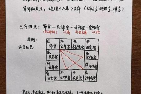 2025年4月24日子时女命紫微斗数全解盘
