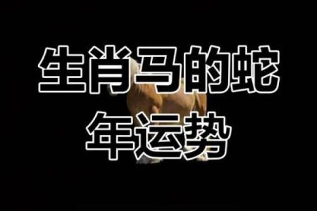 90属马女2025年有喜事 90年属马女2025运势揭秘三大喜事降临必看