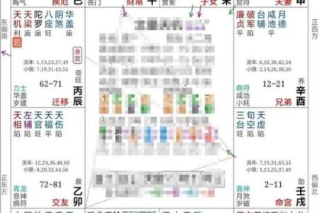 2025年4月8日丑时女命紫微斗数全解盘