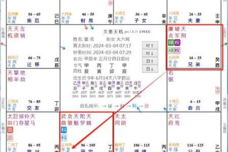 2025年4月12日子时男命紫微斗数全解盘