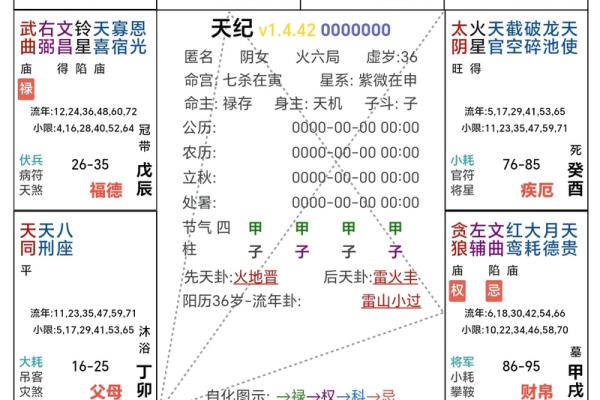 2025年4月11日戌时男命紫微斗数全解盘 2025年4月11日戌时男命紫微斗数全解盘