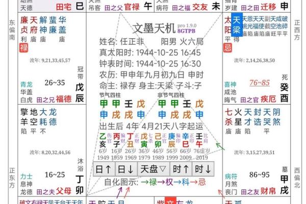 2025年4月11日戌时男命紫微斗数全解盘 2025年4月11日戌时男命紫微斗数全解盘
