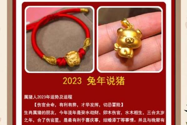 2025年属猪的穿红色好不好_2025年属猪穿红色运势解析吉凶如何 2025年属猪的穿红色好不好_2025年属猪穿红色运势解析吉凶如何