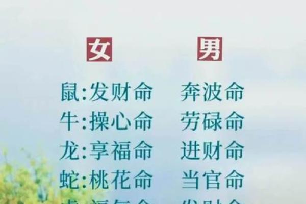 真命天子代表什么生肖(真命天子代表什么生肖精选答案落实) 真命天子代表什么生肖(真命天子代表什么生肖精选答案落实)