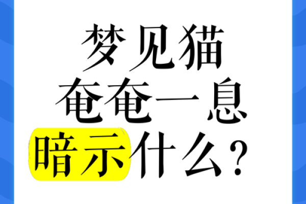 女人梦见猫咬自己是什么预兆 女人梦见猫咬自己是什么预兆