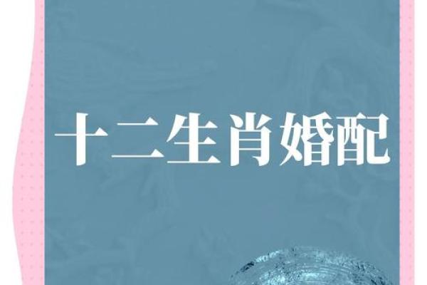 “美景佳人夕阳红”是什么生肖动物，美景佳人夕阳红代表什么生肖答案解释释义落实