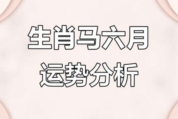 2025年属马人全年运势解析财运事业健康全预测