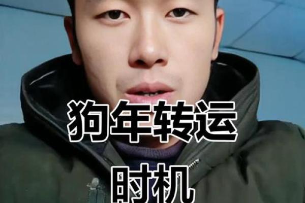 1982年狗在2025年的运势 1982年狗在2025年的运势怎么样