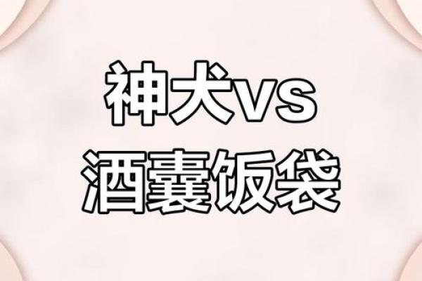 “酒囊饭袋”打一正确的生肖，酒囊饭袋代表什么生肖答案解释释义落实
