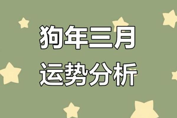 2025年属狗人全年每月运势详解及运势预测