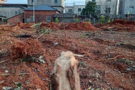 初十动土好不好