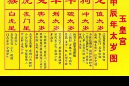 2025年属猪人戴什么化解太岁 属猪人冲太岁的详细化解方法