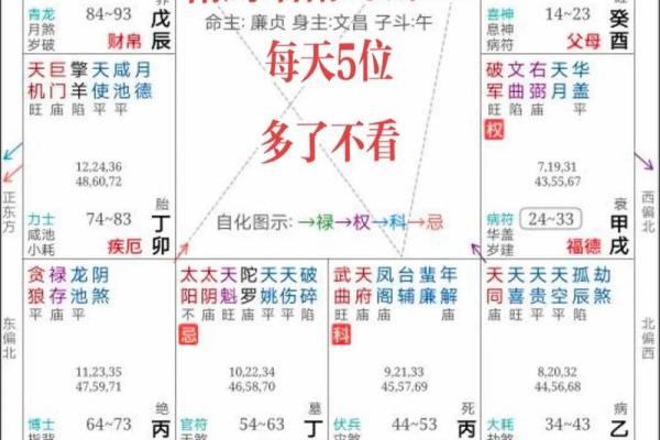 2025年4月11日辰时男命紫微斗数全解盘 2025年4月11日辰时男命紫微斗数全解盘