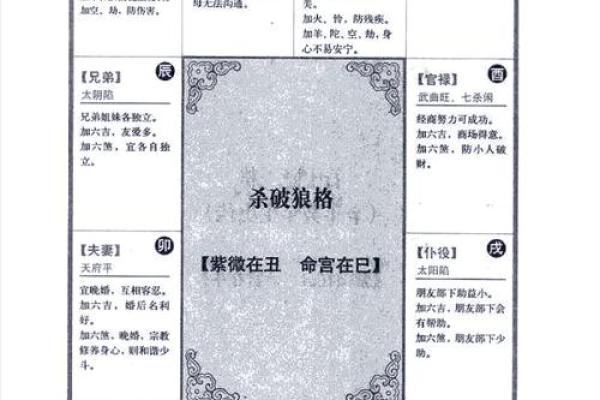 2025年4月11日辰时男命紫微斗数全解盘 2025年4月11日辰时男命紫微斗数全解盘