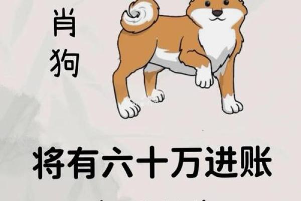 1970年属狗人今年运势如何_1970年属狗的今年运气怎么样