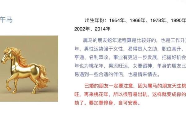 2025年属马人全年运势1966 2025年属马人全年运势2002女 2025年属马人全年运势1966 2025年属马人全年运势2002女
