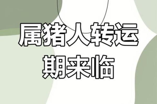 属猪2025年的运势及运程_2025年属猪运势详解全年运程大揭秘