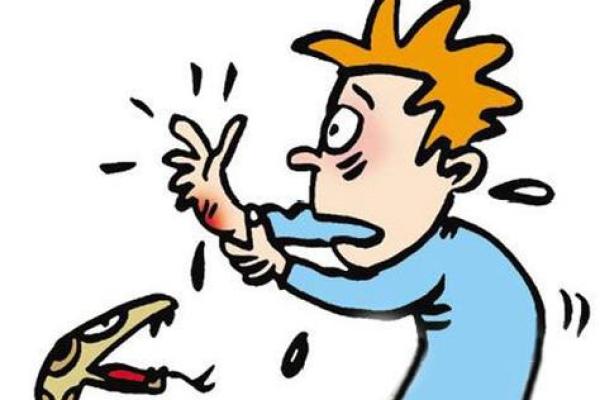 梦见被蛇咬是什么预兆男人