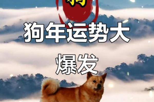 属狗2025年运势及运程每月运程狗 1970年属狗的每月运势 属狗2025年运势及运程每月运程狗 1970年属狗的每月运势