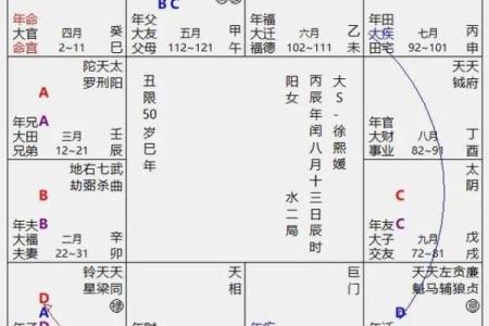 2025年4月6日卯时男命紫微斗数全解盘