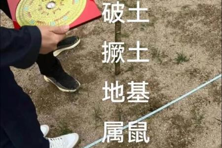 破土和动土有什么不同意义(破土和动土区别)