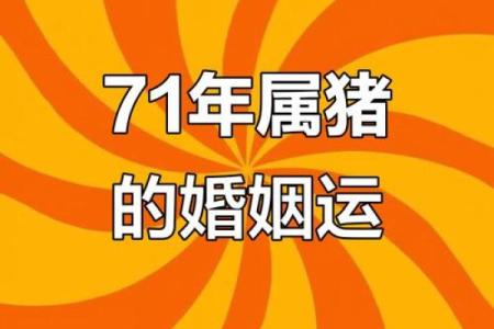 71年属猪2023年每月运势详解及运势提升指南