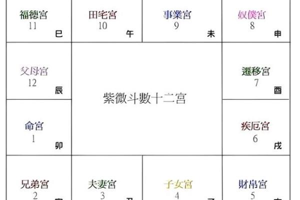 2025年4月6日丑时男命紫微斗数全解盘 2025年4月6日丑时男命紫微斗数全解盘