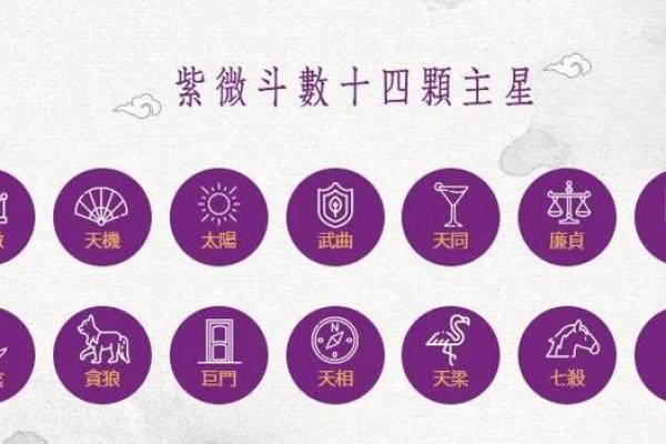 2025年4月14日子时男命紫微斗数全解盘