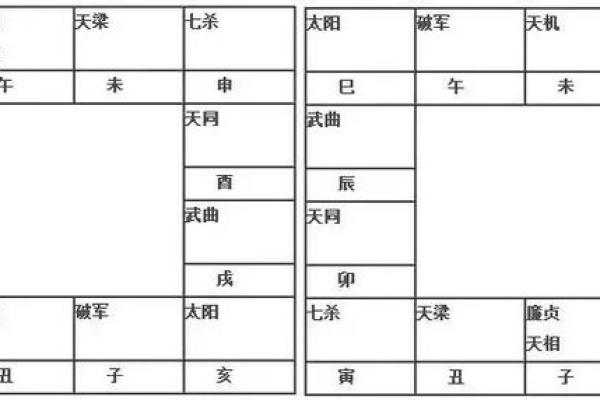2025年4月4日戌时男命紫微斗数全解盘