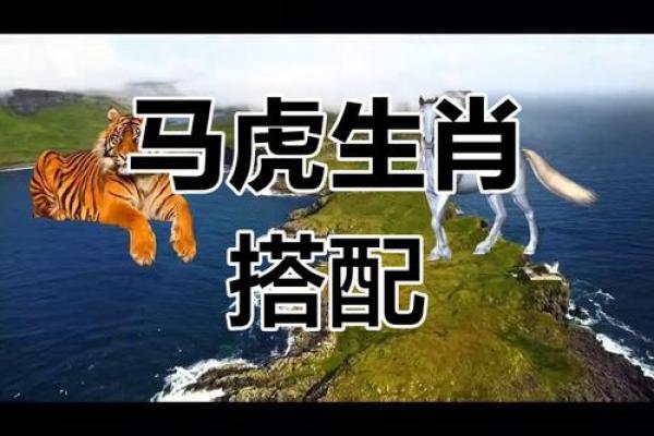 属马2025年多大_属虎2025年多大
