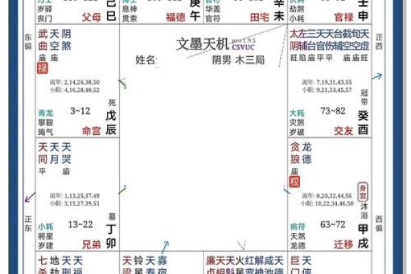 2025年4月20日申时男命紫微斗数全解盘