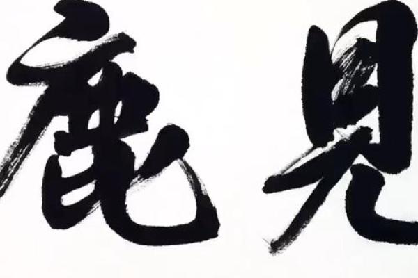 “林深见鹿”打一正确的生肖，林深见鹿是什么生肖答案解释释义落实