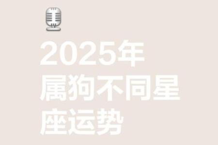2025年属狗女人的运势如何 1982属狗女2025年运势完整版