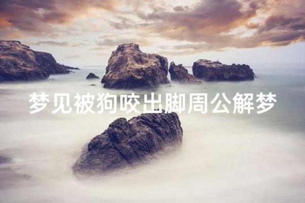 梦见狗狗是什么预兆周公解梦 梦见狗狗是什么预兆周公解梦