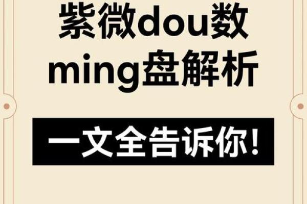 2025年4月20日酉时男命紫微斗数全解盘