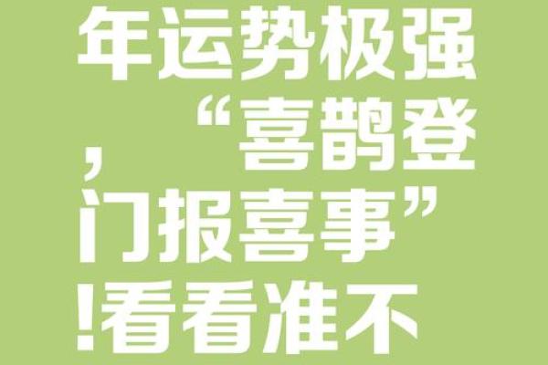 攀高枝儿是什么生肖(攀高枝儿是什么生肖,已答解析落实蛇)