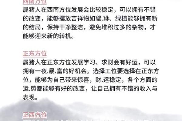 2025生肖猪运势详解财运事业爱情全解析