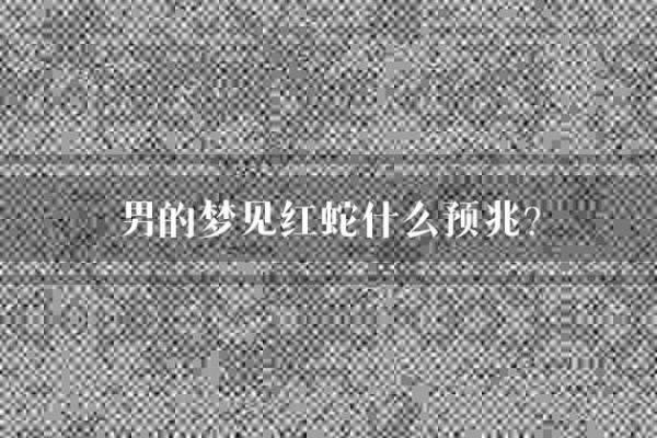 梦见很多蛇是什么预兆男人