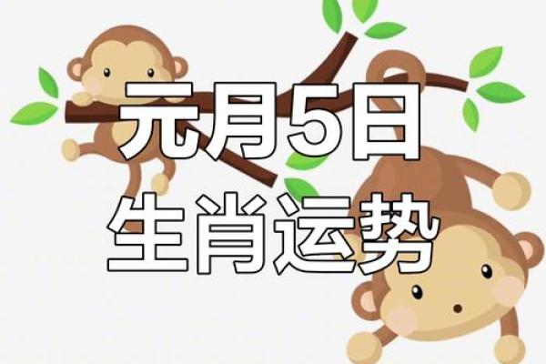 属兔的开业大吉的日期10月