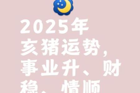猪属相2025运势_2025年猪运势