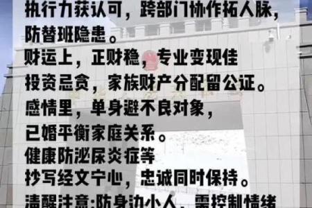 生肖狗2025年运势大全_生肖狗2025年运势大全及每月运程