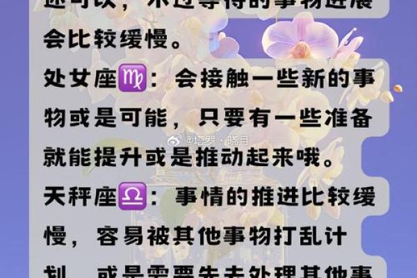 双子女明天考试运势(双子女明天考试运势如何)