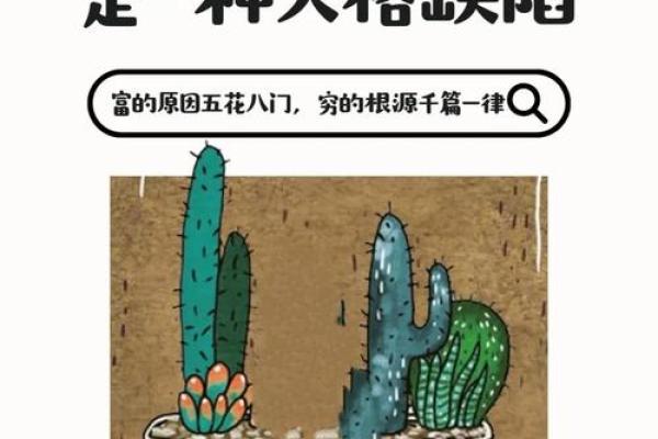 “站稳脚跟”打一正确的生肖，站稳脚跟指什么生肖答案解释释义落实